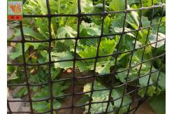 China Heavy Duty Fence 50CM Garden Mesh Netting supplier