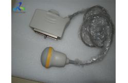 China PVT-675MV 3D Ultrasound Transducer Convex Array Clinic Diagnostic Medical Equipment supplier
