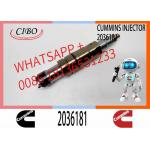 Common Rail DX350 Fuel Injector 2488244 2036181 0984302 180745090 DDJ8L0HW2 Diesel Engine