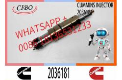 China Common Rail DX350 Fuel Injector 2488244 2036181 0984302 180745090 DDJ8L0HW2 Diesel Engine supplier