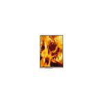 LX055A1BA01 5.5 inch LCD screen TFT LCD Display For Mobile Phone for sale
