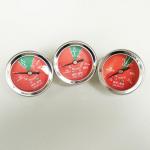 Nitrogen Gauge Fire Extinguisher Accessories For FM200 Gas Fire Extinguishing System for sale