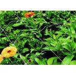1.8m Height White Plastic Net Climbing Outdoor Plant Support for sale