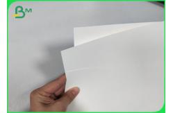 China Non Permeate PE Coated Cupstock Based Paper 170gsm - 210gsm supplier