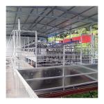Sheep 100 Points Herringbone Milking Parlor automatic milking system for sale
