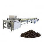80kg/H Servo Motor 1000mm Chocolate Chip Making Machine for sale