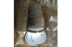 China ROSH Standard OEM Piezo Ceramic Plate P4 P8 P5 supplier