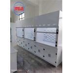 220V Chemical Fume Hood Lab Acid Fume Hood Wall Mounted with Horizontal Structure for sale