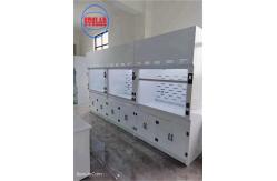 China 1 Year Horizontal Chemical Fume Hood With Scrubber for Efficient Ventilation supplier