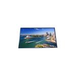 P430QVT01.0 43.0 inch tft LCD Screen Display for Digital Signage for sale