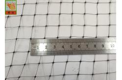China Light Bird PP Sqaure Hole 15mm Garden Mesh Netting supplier