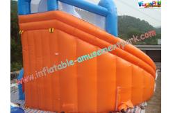 China Customized Waterproof Outdoor Inflatable Water Slides , Children Inflatable Water Pool Slide supplier