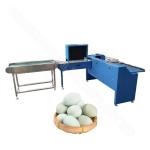 304 Stainless Steel Chicken Egg Grading Machine Price By Weight Egg Weight Classify Sorter for sale