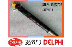 China 28599713 DELPHI Common Rail Fuel Injector 1100100XED95 1100100X-ED95 supplier