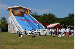 China Giant inflatable toboggan slide hire supplier
