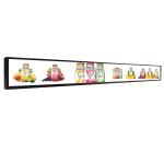 High Brightness Stretched LCD Display 4G LTE POE 23.1 Inch Advertising Display