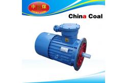China DSB Series Flame-proof Three-phase Asynchronous Motor supplier