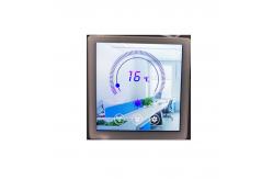 China Small Size Square Shape 3.95 TFT Lcd Display 720x720 Module supplier