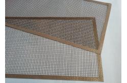 China Drying And Conveying Heat Resistant Ptfe Mesh Belt supplier