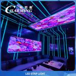 SMD5050 Flexible RGB LED Strip Light SPI Control Waterproof Durable