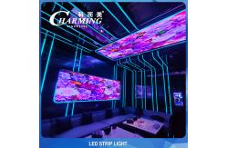 China SMD5050 Flexible RGB LED Strip Light SPI Control Waterproof Durable supplier