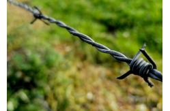 China Electro-Galvanized 	Security Barbed Wire For Isolating And Protecting supplier