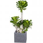 Anti Aging Artificial Succulent Plant Home Interior Landscape Set Pieces Potted for sale