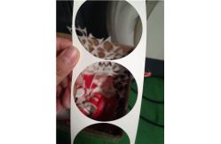 China Disposable PE Coated Paper Cup Production Machine High Efficiency supplier