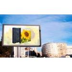 Real Pixel Led Standard 1R1G1B and Working Voltage DC5V for Score Led Billboard for sale