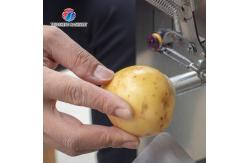 China 100MM Diameter Fruit And Vegetable Peeler Machine Commercial Food Processor supplier