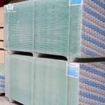 Moisture Resistant Common Plaster Gypsum Board for Ceiling and Partition Lightweight Panels Fire Resistant Smooth Surface Stable for sale