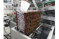 China Full Automatic High Speed Tissue Carton Packaging Machine supplier