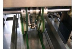 China PLC Argenteous Rotary Pouch Packing Machine 380V Rotary Cup Sealing Machine supplier