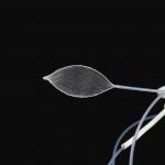 Clinical Convenient Operation Endoscopic Grasping Forceps With Net