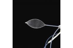 China Clinical Convenient Operation Endoscopic Grasping Forceps With Net supplier