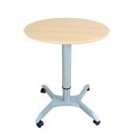 China Bedroom Electric Pneumatic Height Adjustable Standing Desk for sale