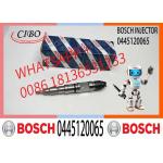 Common Rail Fuel Injector Diesel Injectors 04290988 0986435559 0445120065