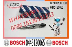China Common Rail Fuel Injector Diesel Injectors 04290988 0986435559 0445120065 supplier
