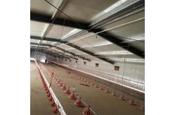 China Automatic Pan Feeding System Poultry Farm Equipment supplier