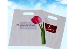 China Plastic Shopping Bags With Handles , Custom Plastic Merchandise Bags supplier