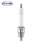 R10p3 Industrial Spark Plug