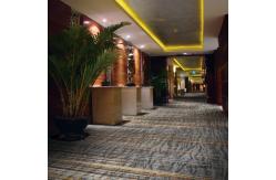 China Lobby Wall To Wall Woven Axminster Carpet PP Backing With Wool supplier