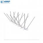 Plastic 1m Base 1.3mm Dia Anti Bird Spikes for sale