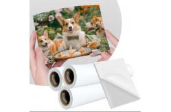 China White Matte Waterproof 180gsm Matte Coated Photo Paper For Everyday Printing supplier
