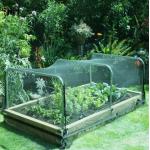 Sturdy UV Resistant Bird Netting 40M Fruit Tree Bird Netting Customized for sale