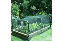 China Sturdy UV Resistant Bird Netting 40M Fruit Tree Bird Netting Customized supplier