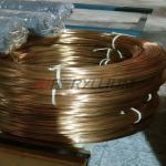 UNS No C17500 Cuco2be Beryllium Bronze Wire Thickness 0.8mm Copper Wires for sale