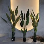 Uv Resistant Artificial Schefflera Tree For Indoor And Outdoor Decoration for sale