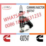 M11 Engine Injector 4307547 4928517 4903472 3411756 3080429 2080429