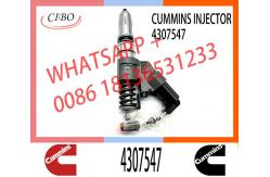 China M11 Engine Injector 4307547 4928517 4903472 3411756 3080429 2080429 supplier